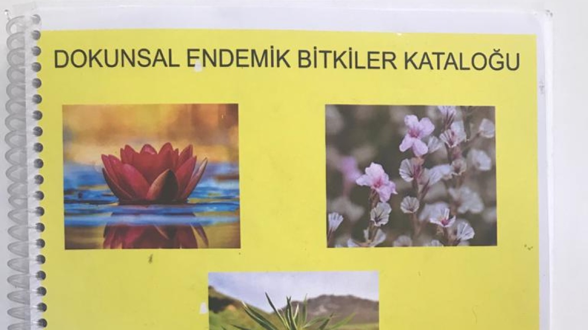 Dokunsal Endemik Bitkiler Katologu  Projesi. TUBİTAK 2204B Türkiye 3.'lüğü. 